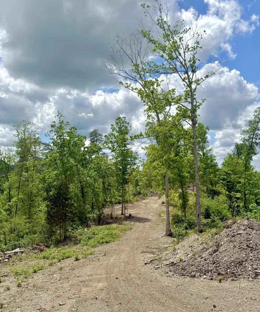 Lot 5 Woodland Estates Irvine KY 40336