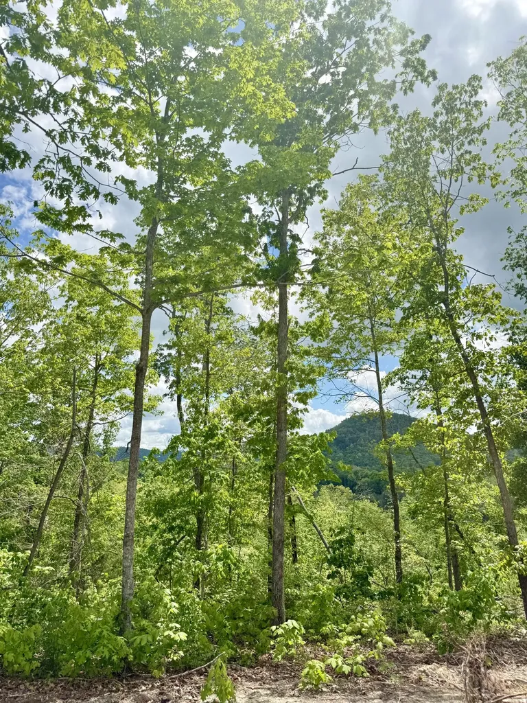 Lot 5 Woodland Estates Irvine KY 40336