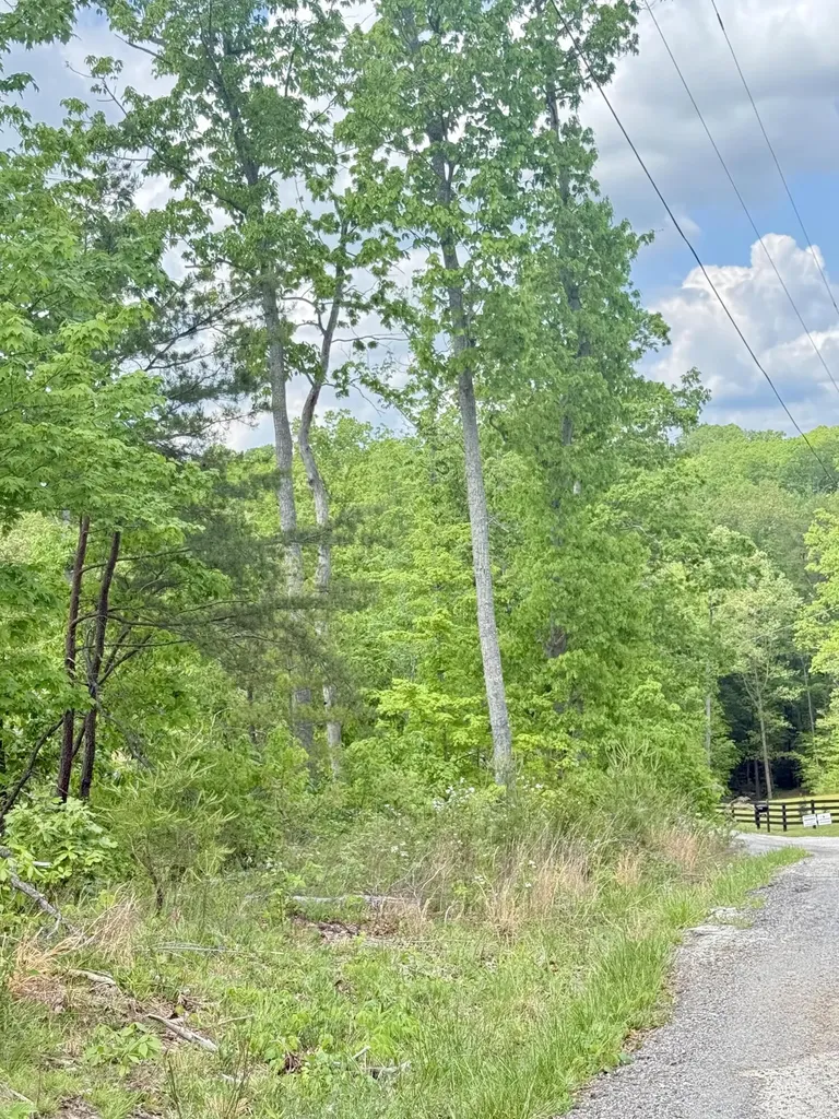 Lot 5 Woodland Estates Irvine KY 40336