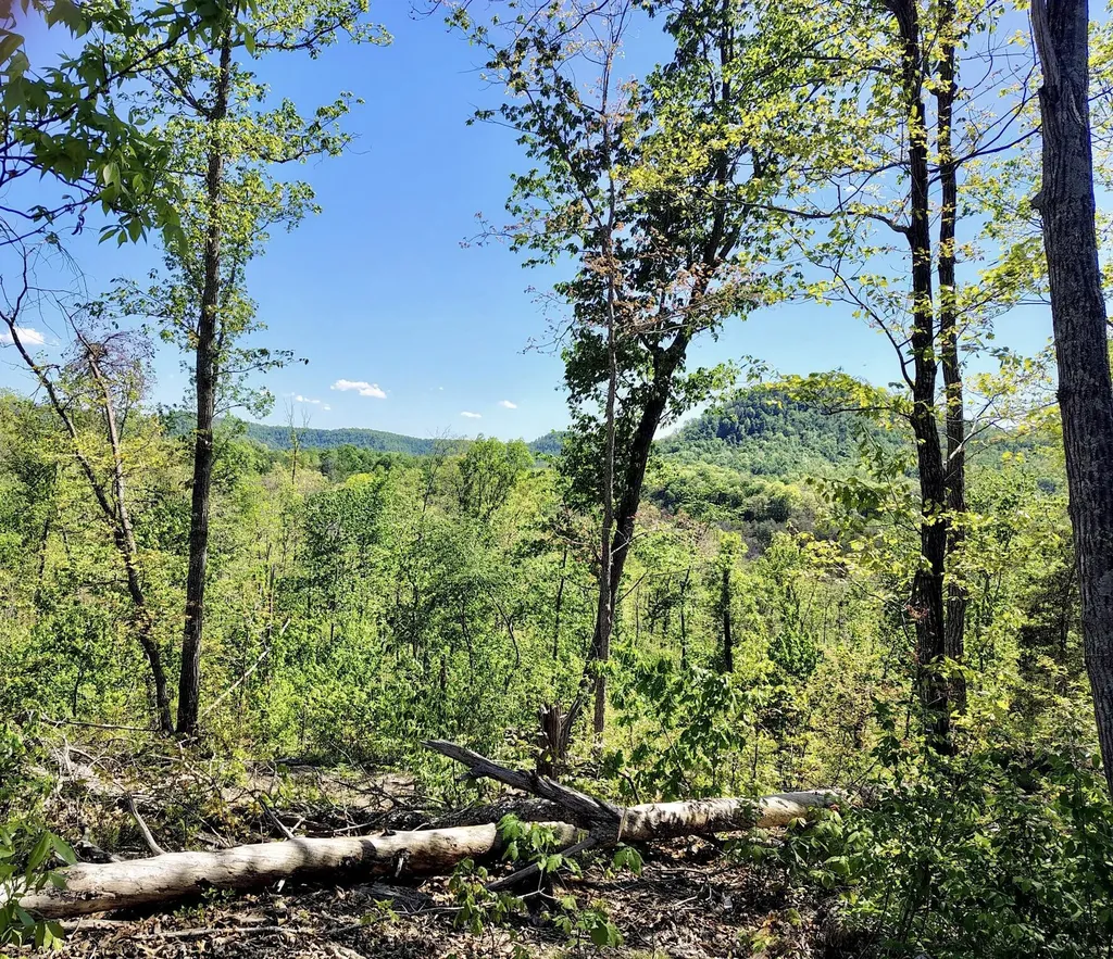 Lot 5 Woodland Estates Irvine KY 40336