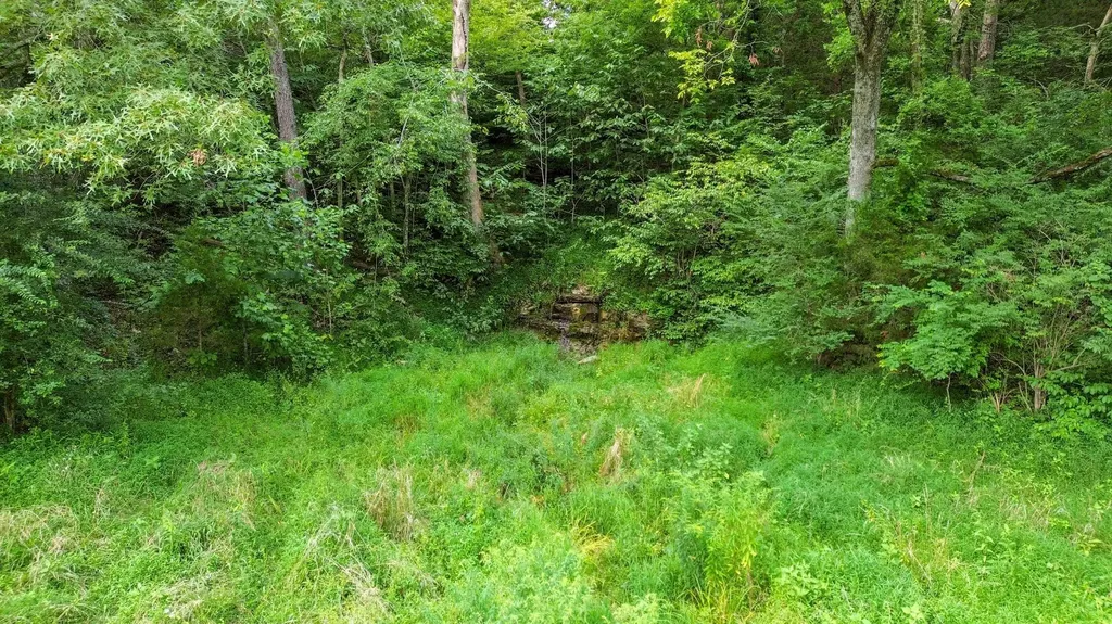 1245 Bridge Hollow Road Somerset KY 42503