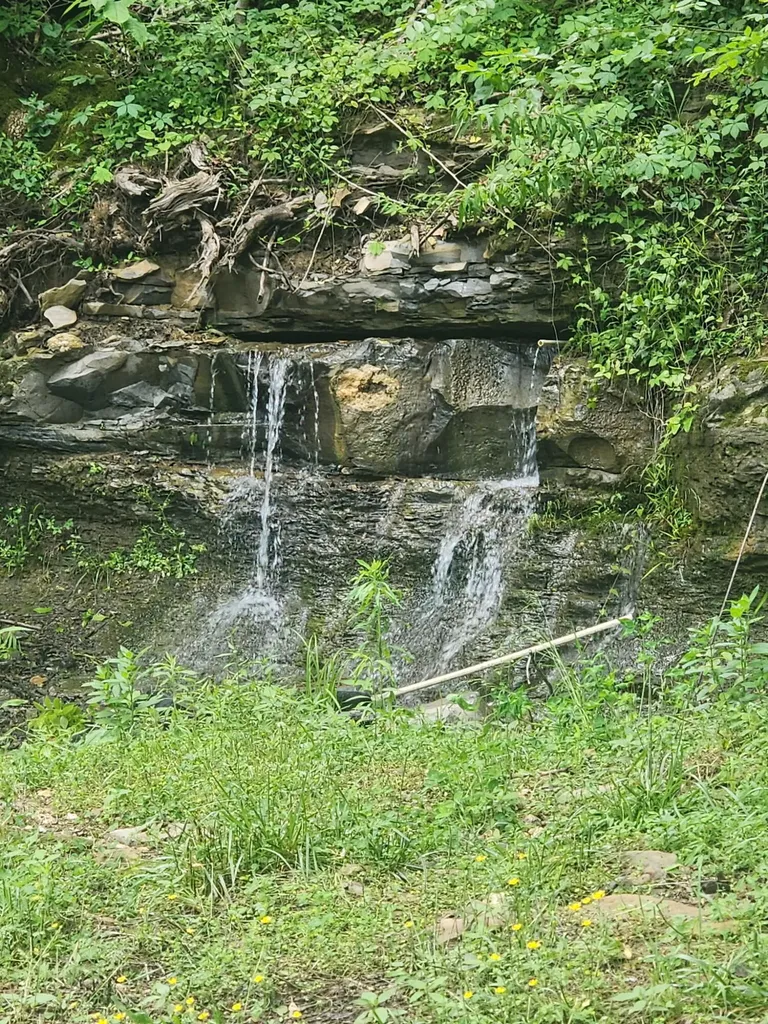 1245 Bridge Hollow Road Somerset KY 42503