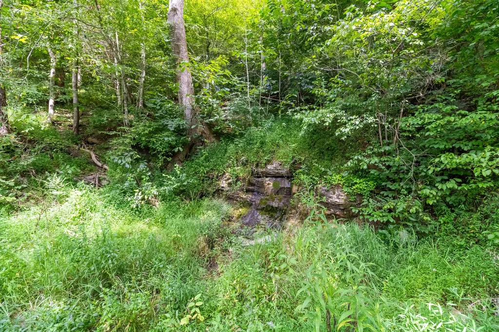 1245 Bridge Hollow Road Somerset KY 42503