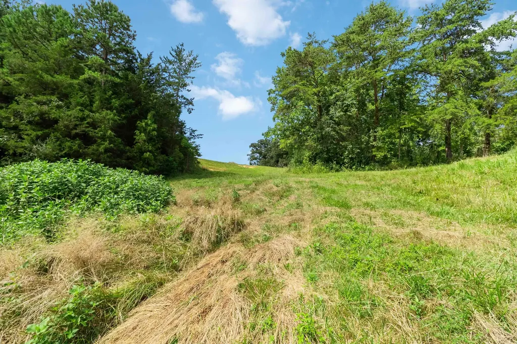 1245 Bridge Hollow Road Somerset KY 42503