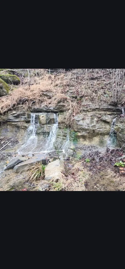 1245 Bridge Hollow Road Somerset KY 42503