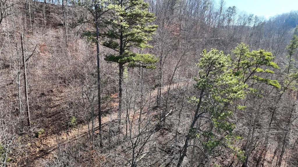 408 Highway 421 Mckee KY 40447
