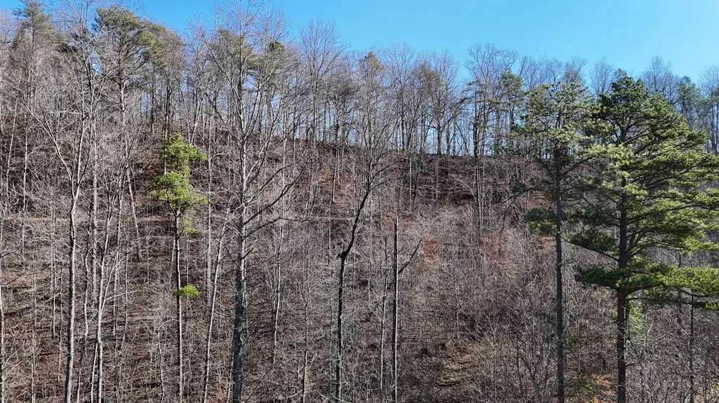 408 Highway 421 Mckee KY 40447