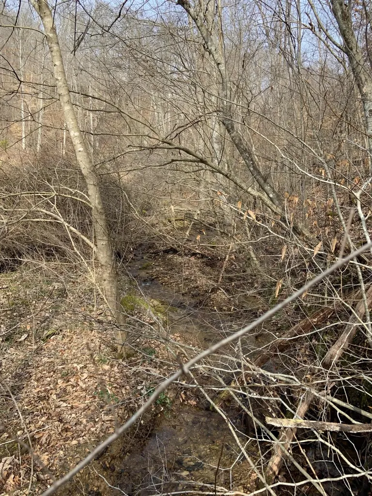 408 Highway 421 Mckee KY 40447
