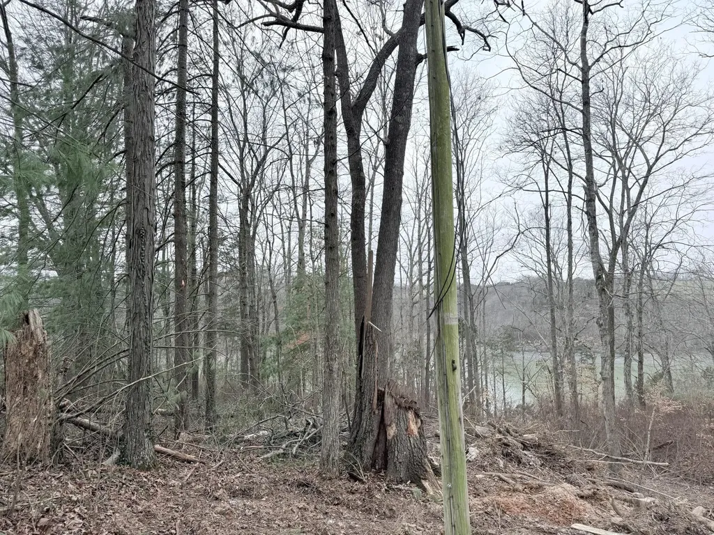 Lot 6 Shoreline Drive Somerset KY 42503