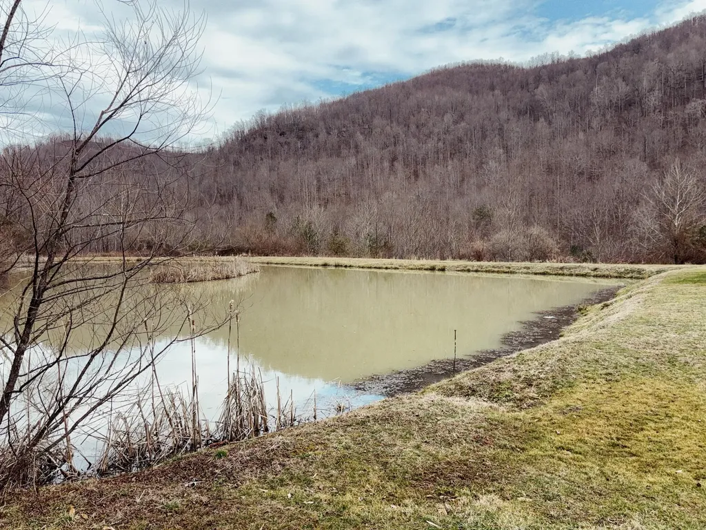 106 Honda Lane Flat Lick KY 40935
