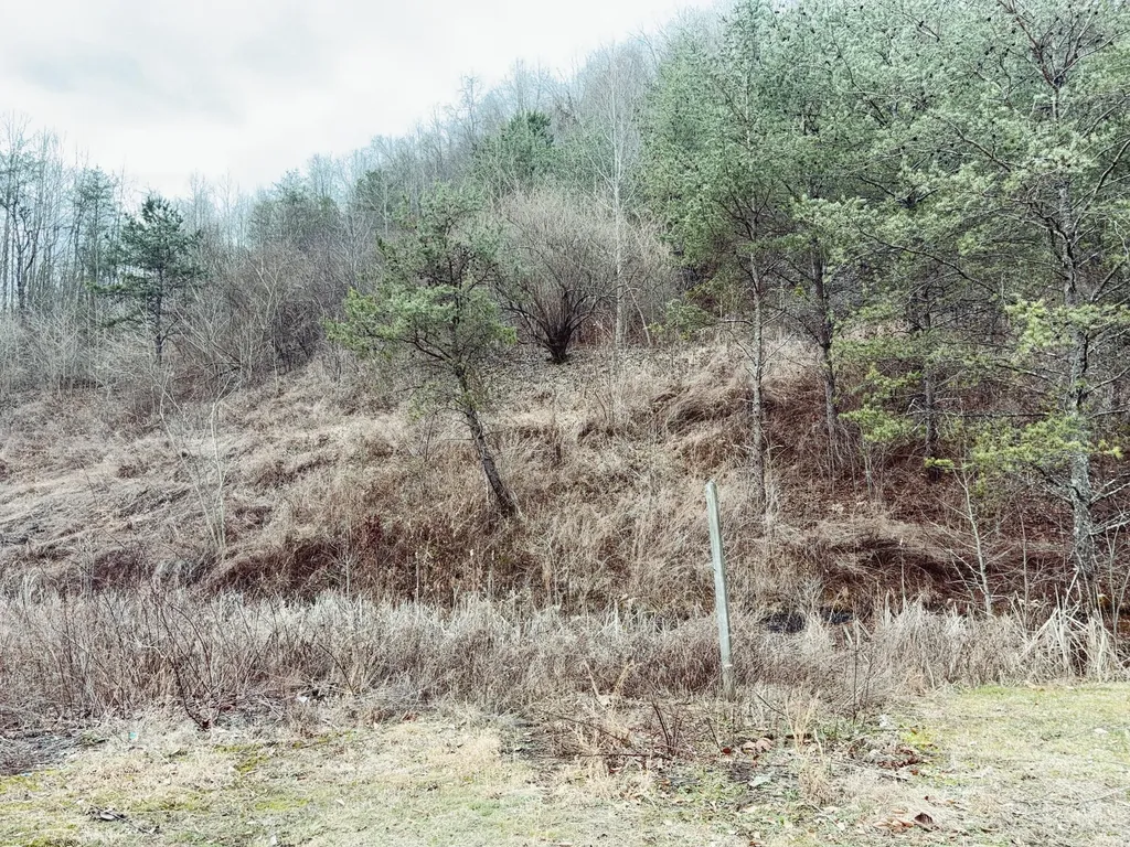 106 Honda Lane Flat Lick KY 40935