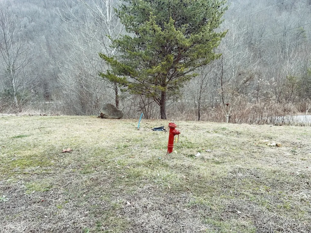 106 Honda Lane Flat Lick KY 40935