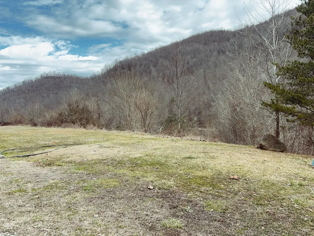 106 Honda Lane Flat Lick KY 40935