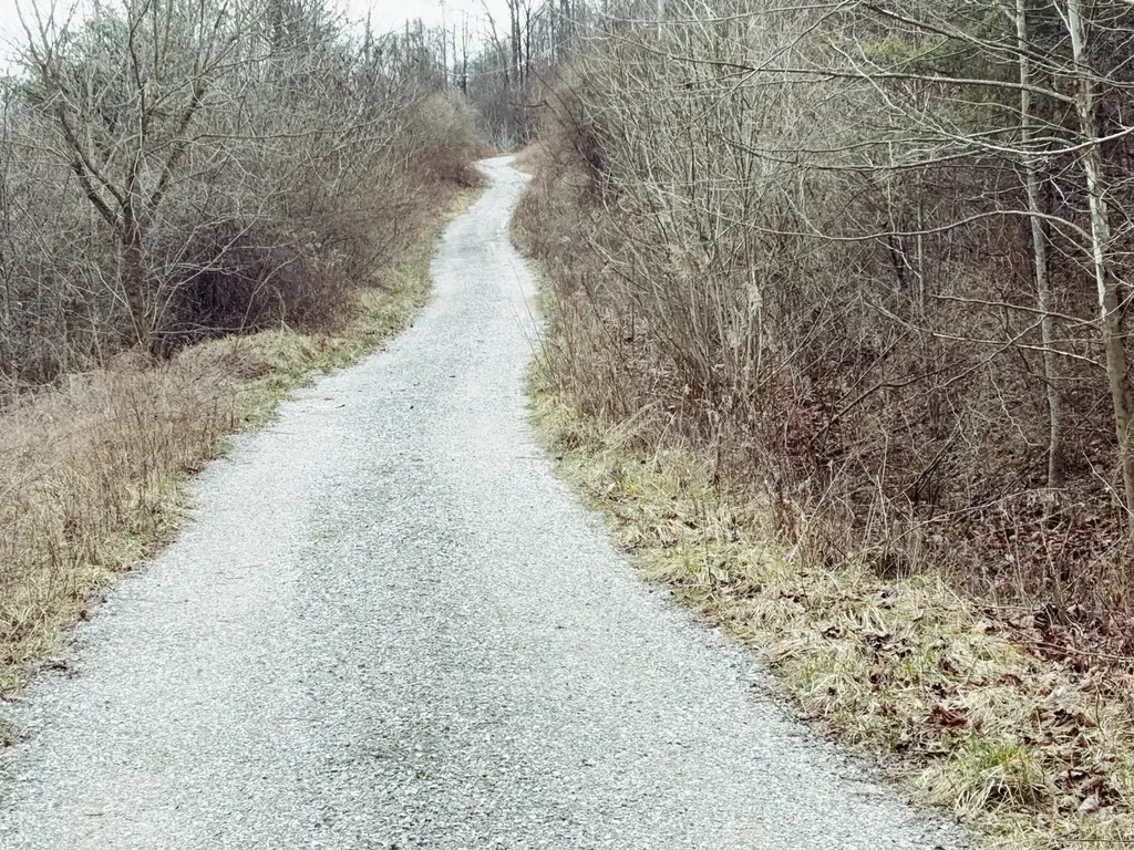 106 Honda Lane Flat Lick KY 40935