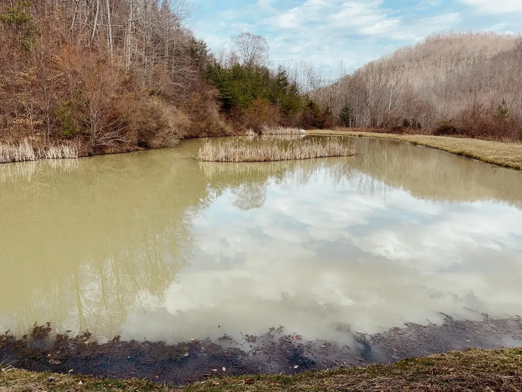 106 Honda Lane Flat Lick KY 40935