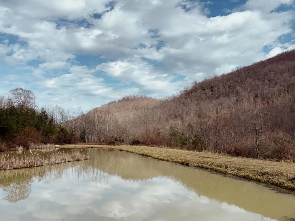 106 Honda Lane Flat Lick KY 40935