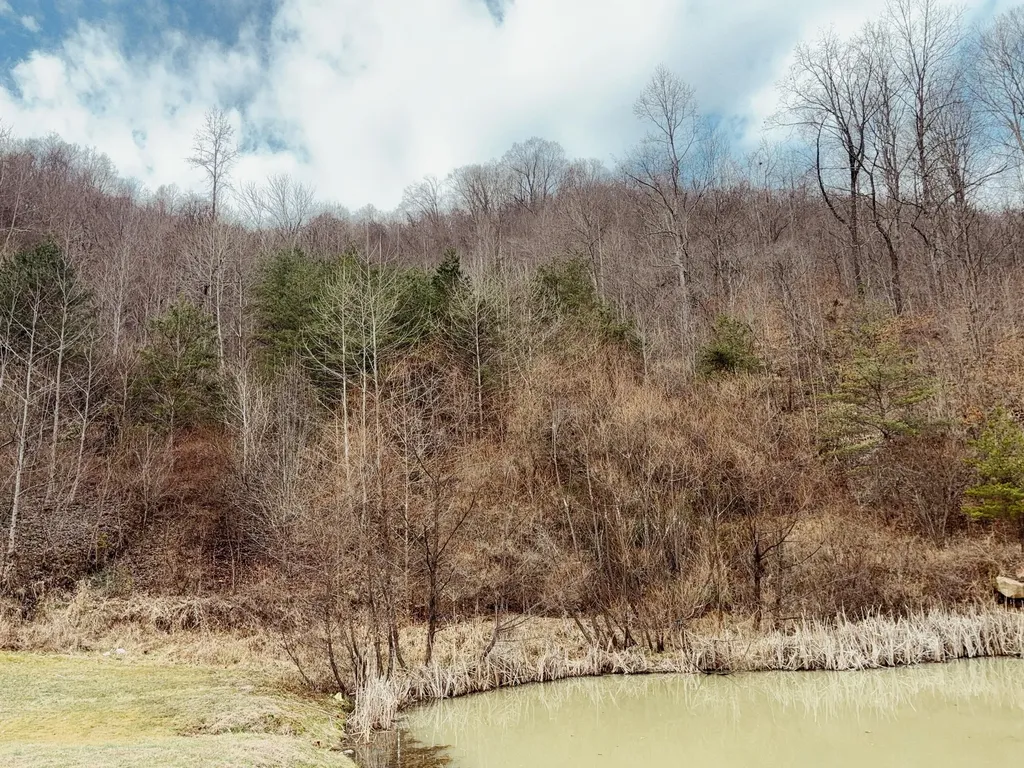 106 Honda Lane Flat Lick KY 40935