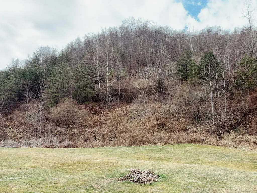 106 Honda Lane Flat Lick KY 40935