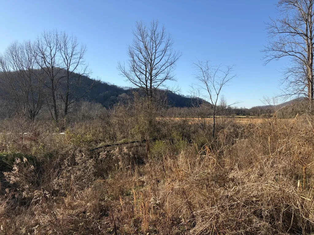 4028 Ky-225 Artemus KY 40903