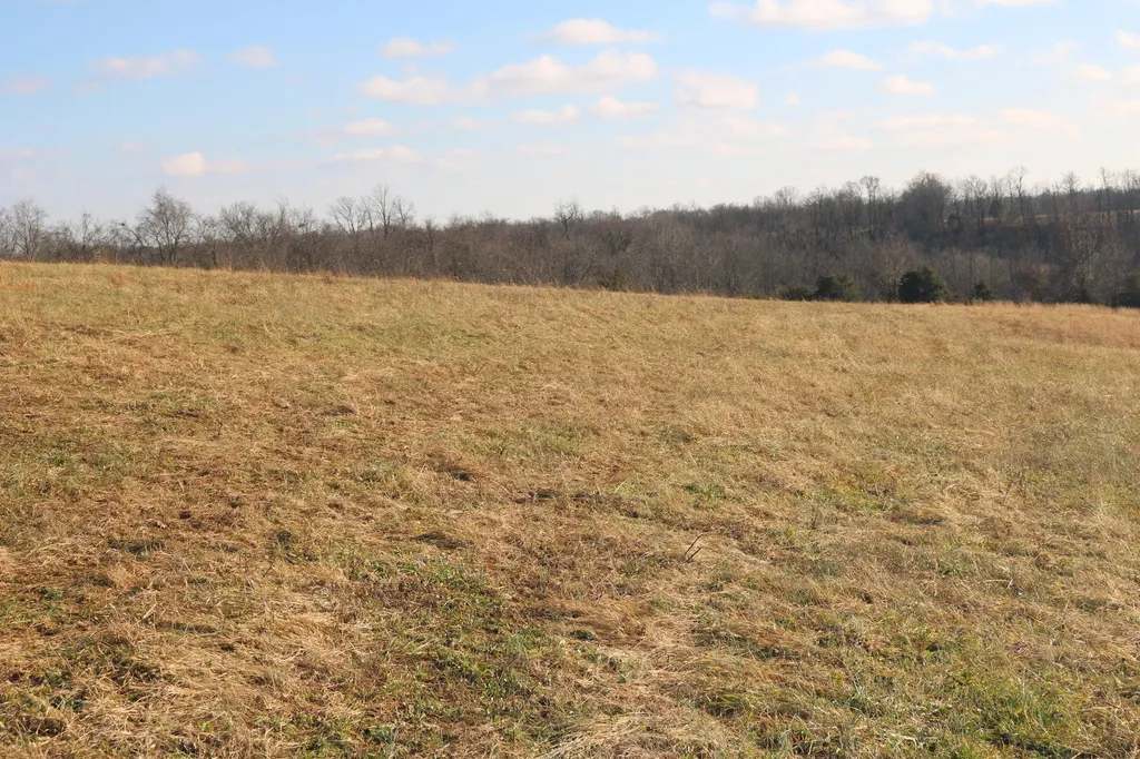 1-X Dixie Highway Carlisle KY 40311