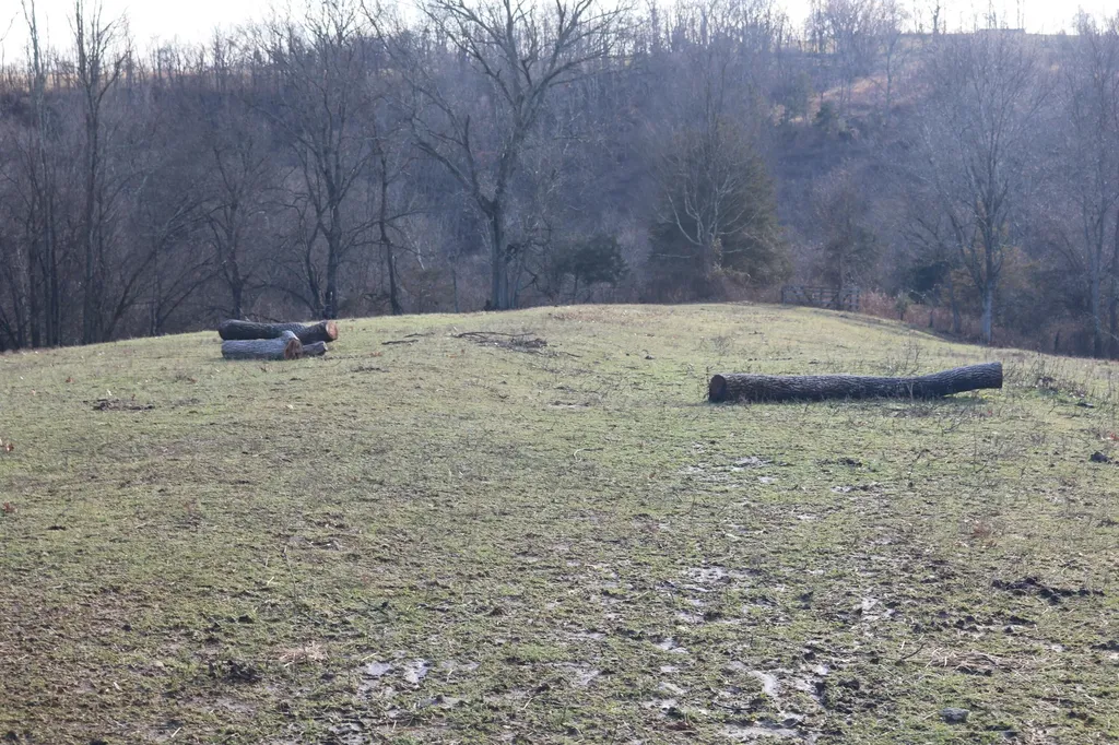 1-X Dixie Highway Carlisle KY 40311