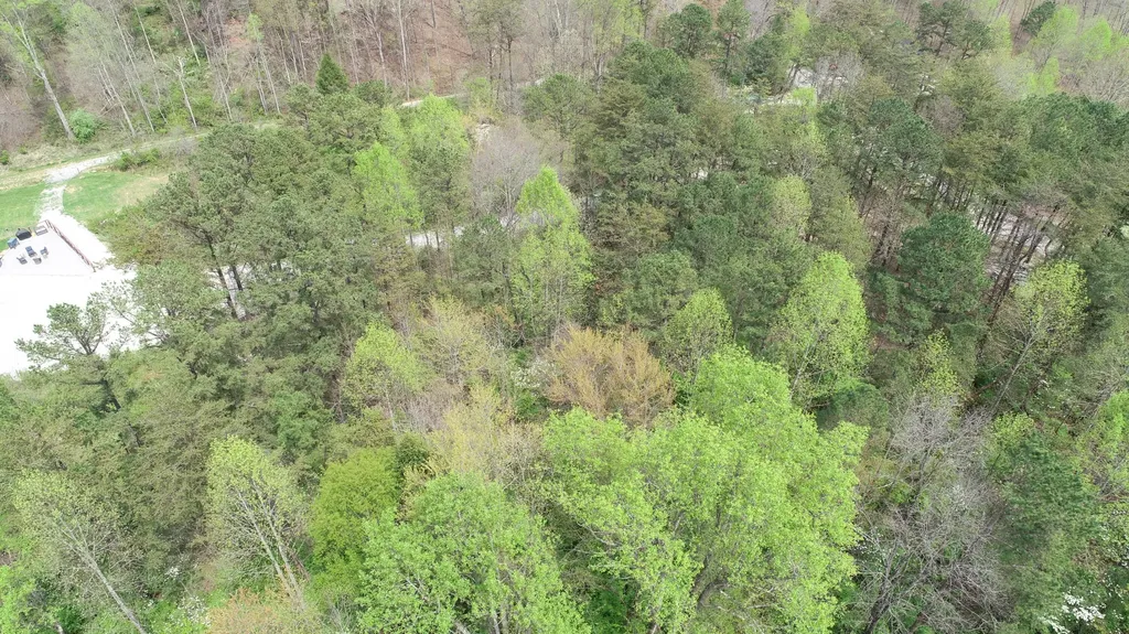 9999 Whitley Trail London KY 40744