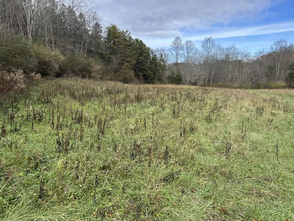 319 Highway 472 Highway Manchester KY 40962