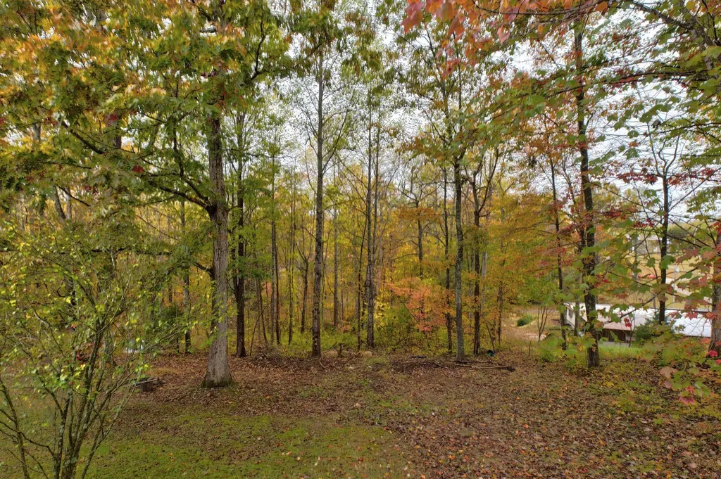 178 Sleepy Hollow Road Wellington KY 40387