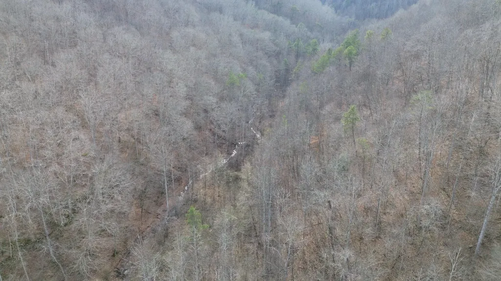237A Meatscaffold Road Jackson KY 41339