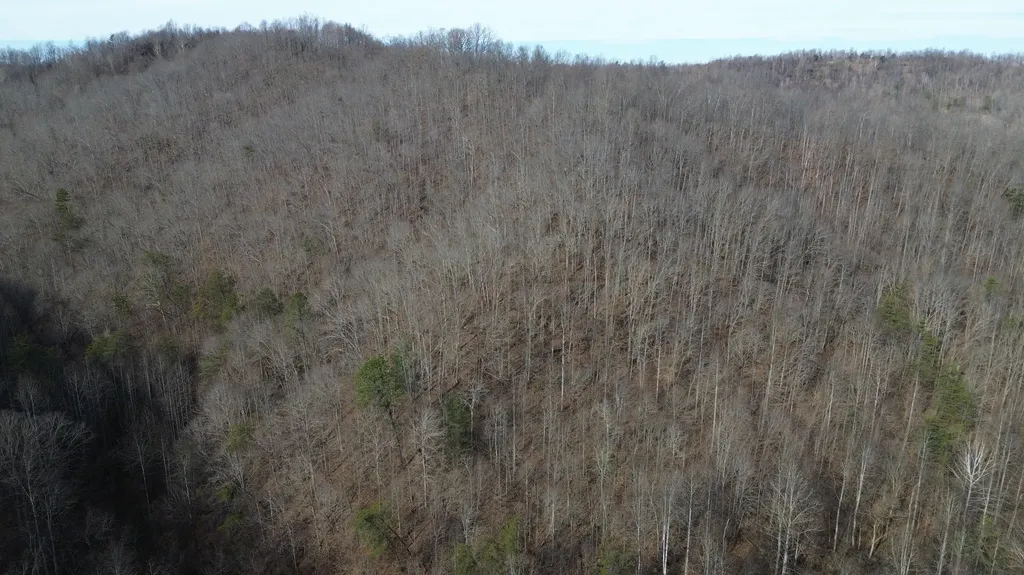 237A Meatscaffold Road Jackson KY 41339