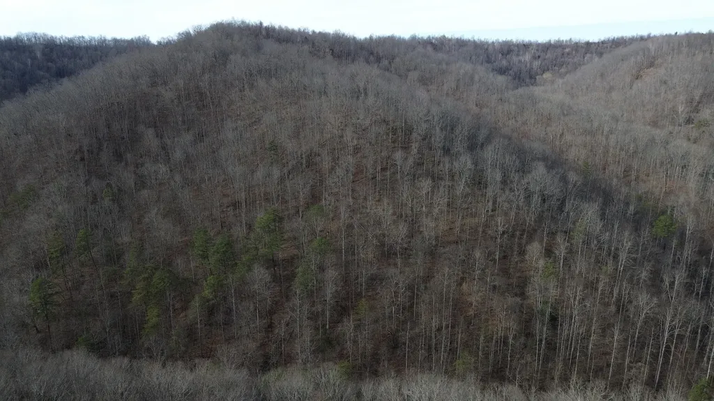 237A Meatscaffold Road Jackson KY 41339