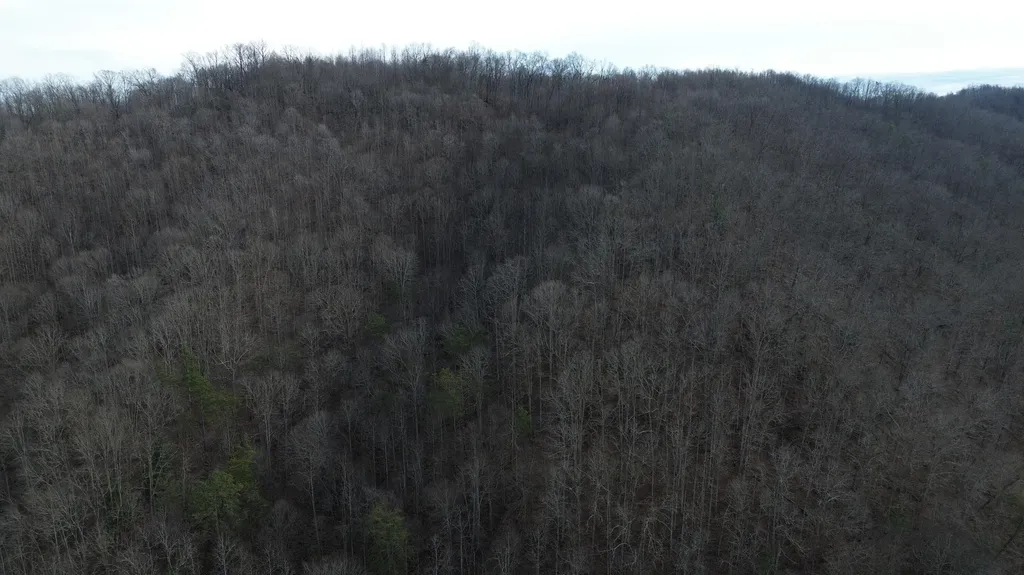 237A Meatscaffold Road Jackson KY 41339