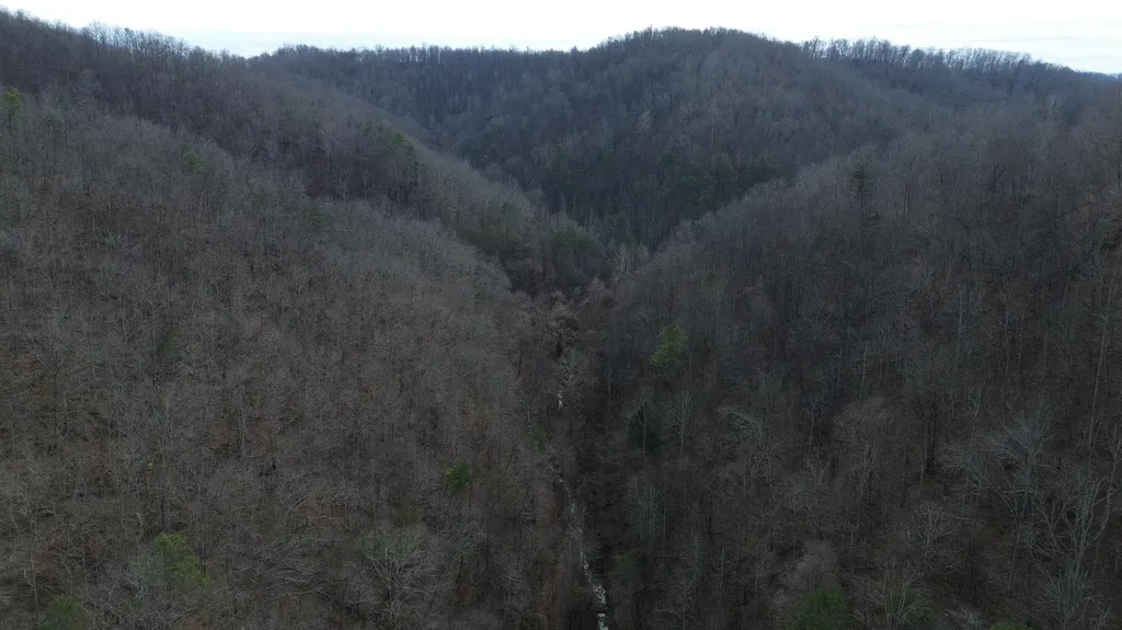 237A Meatscaffold Road Jackson KY 41339
