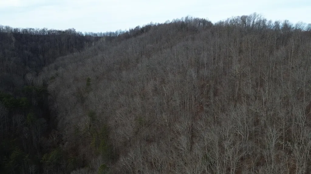 237A Meatscaffold Road Jackson KY 41339