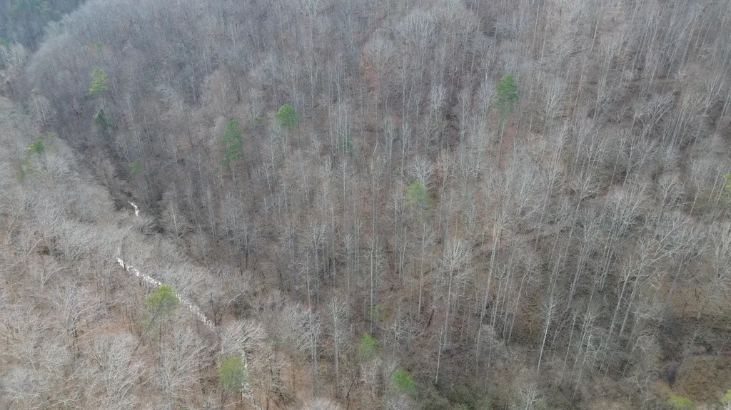 237A Meatscaffold Road Jackson KY 41339