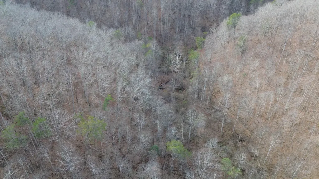 237A Meatscaffold Road Jackson KY 41339