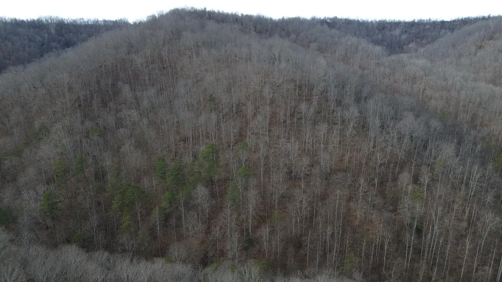 237A Meatscaffold Road Jackson KY 41339