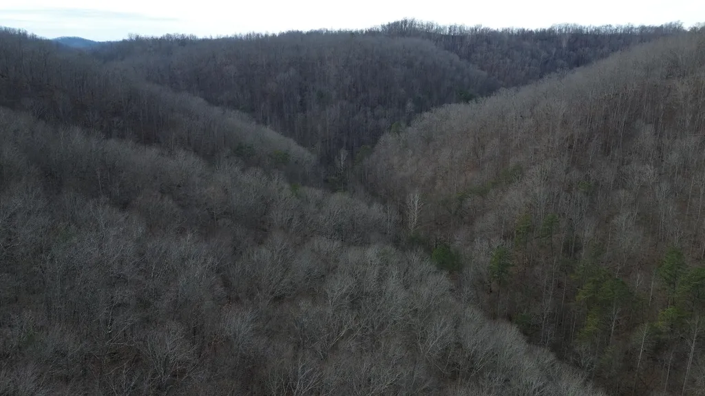 237A Meatscaffold Road Jackson KY 41339