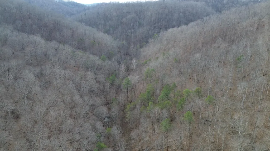 237A Meatscaffold Road Jackson KY 41339