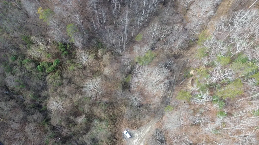 237A Meatscaffold Road Jackson KY 41339