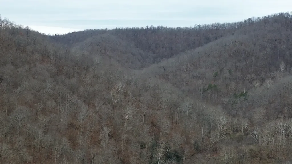 237A Meatscaffold Road Jackson KY 41339