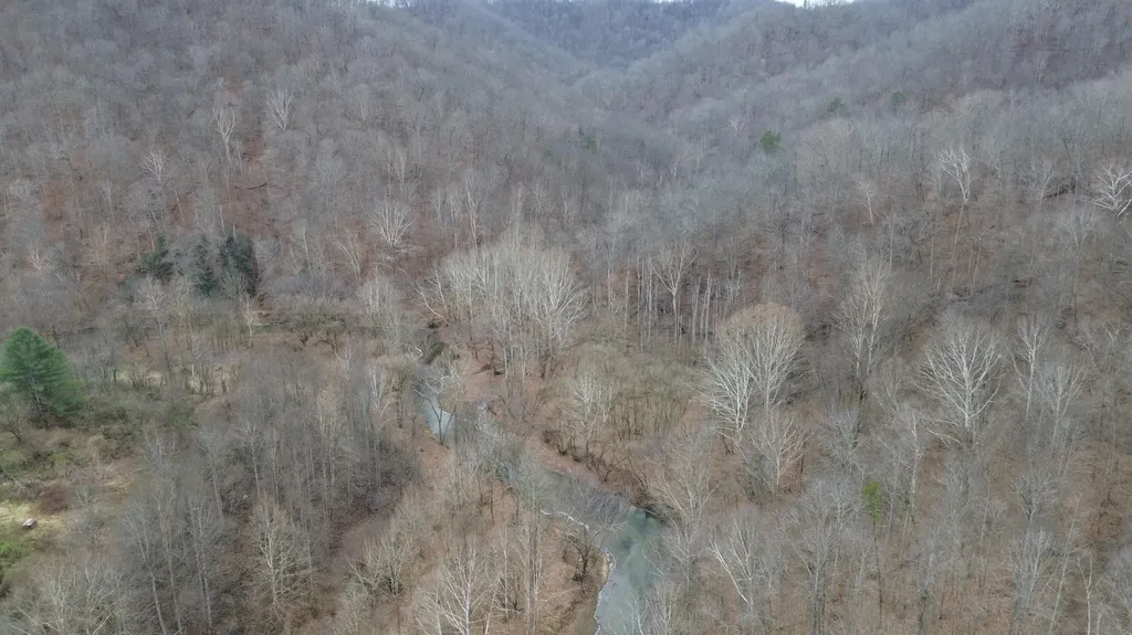 175A Improvement Branch Jackson KY 41339