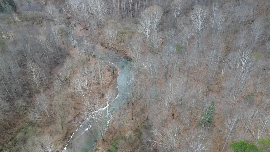 175A Improvement Branch Jackson KY 41339