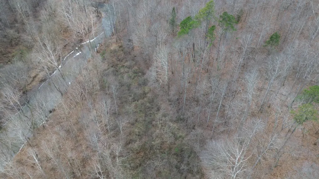 175A Improvement Branch Jackson KY 41339