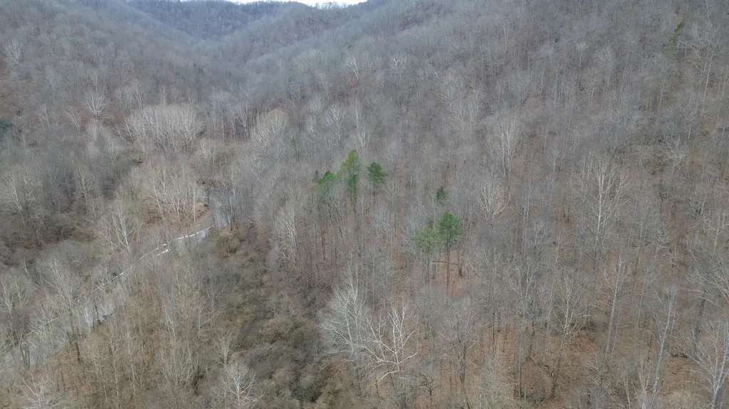 175A Improvement Branch Jackson KY 41339