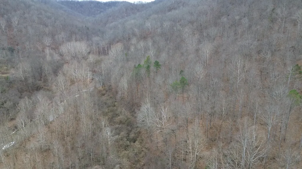 175A Improvement Branch Jackson KY 41339