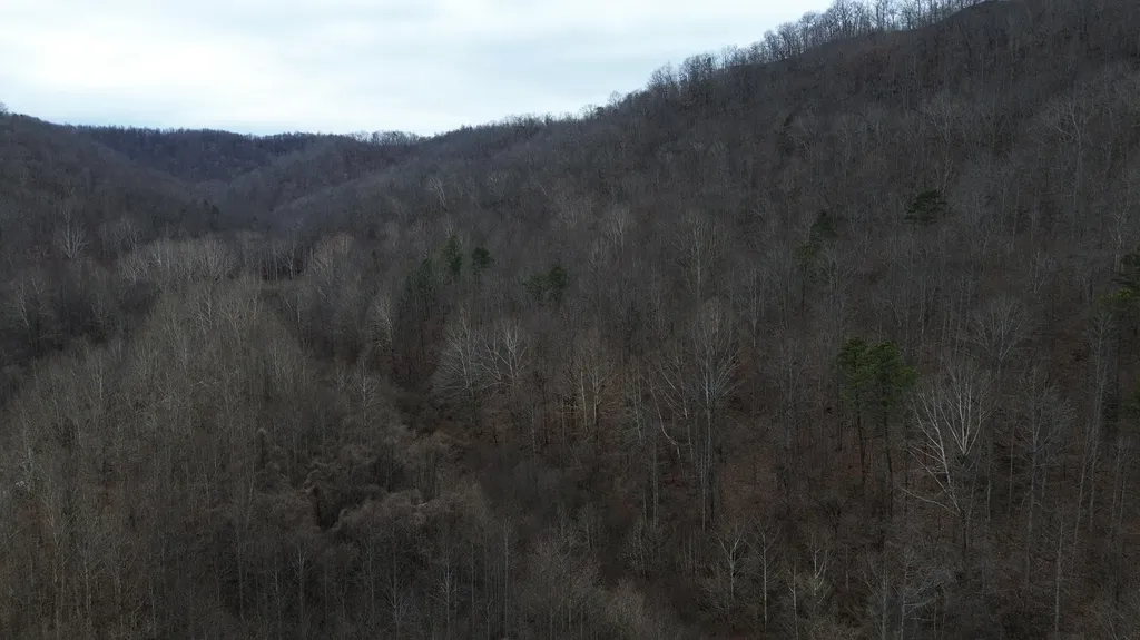 175A Improvement Branch Jackson KY 41339