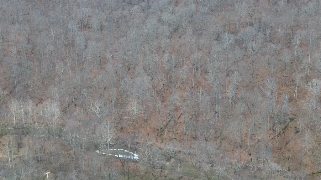 175A Improvement Branch Jackson KY 41339