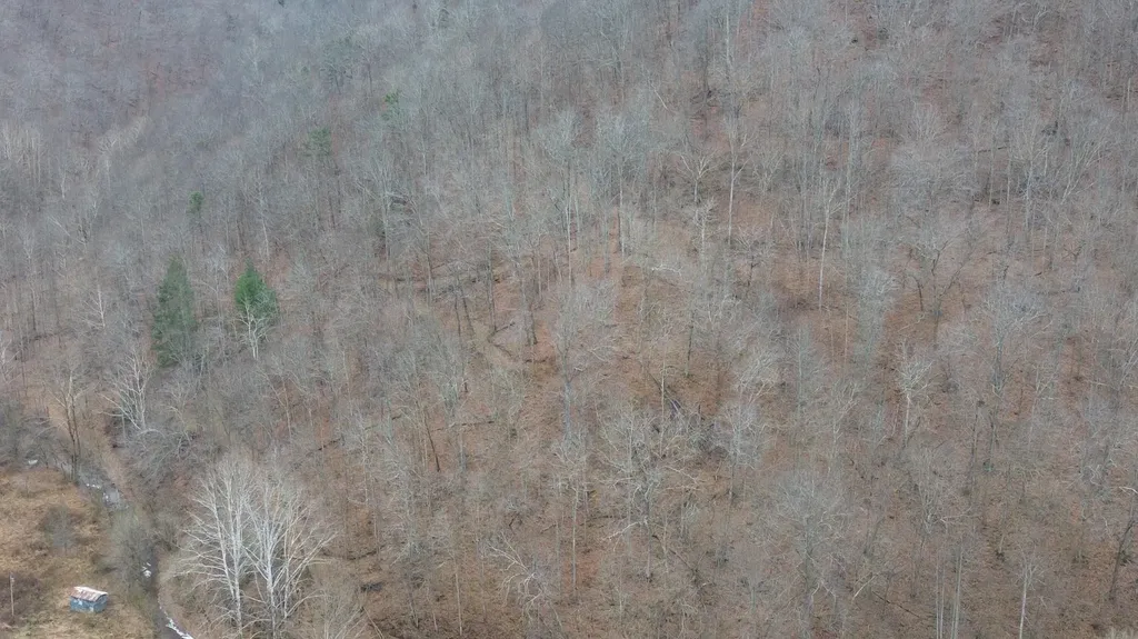 175A Improvement Branch Jackson KY 41339