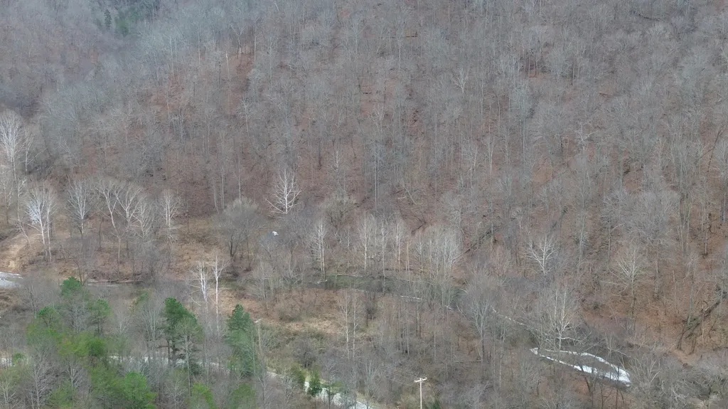 175A Improvement Branch Jackson KY 41339